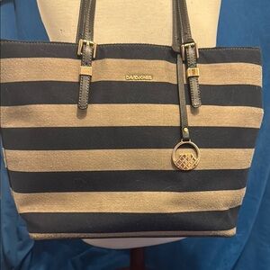David jones Blue  and Tan Striped Women's Bag